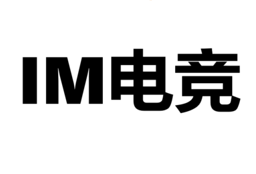 IM电竞控股有限公司